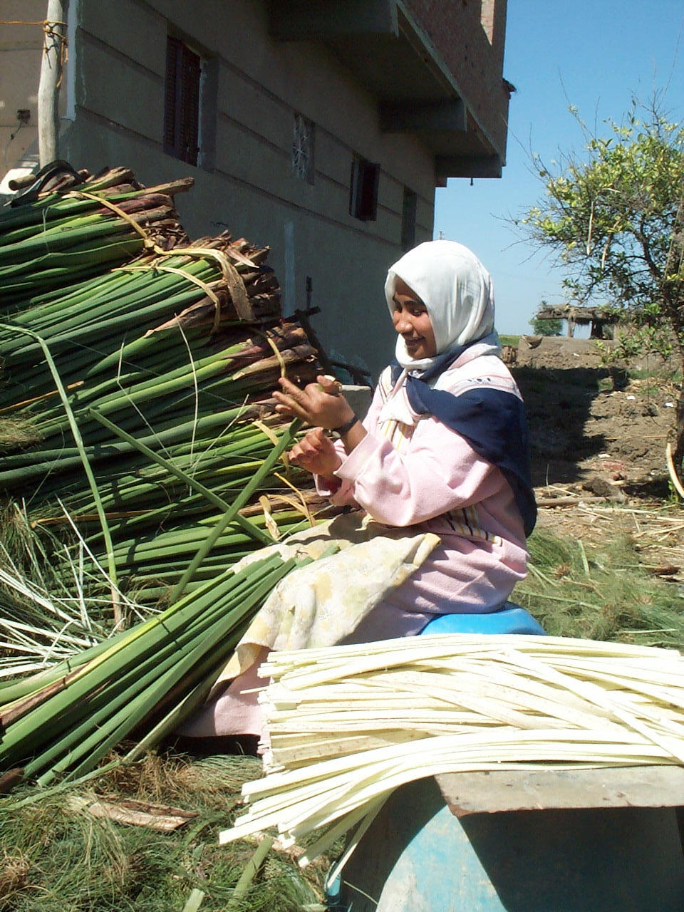 10 Bogen Blanko Papyrus Format A5