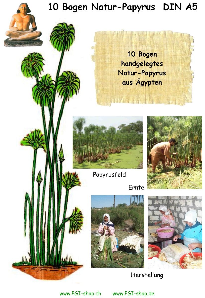 10 Bogen Blanko Papyrus Format A5