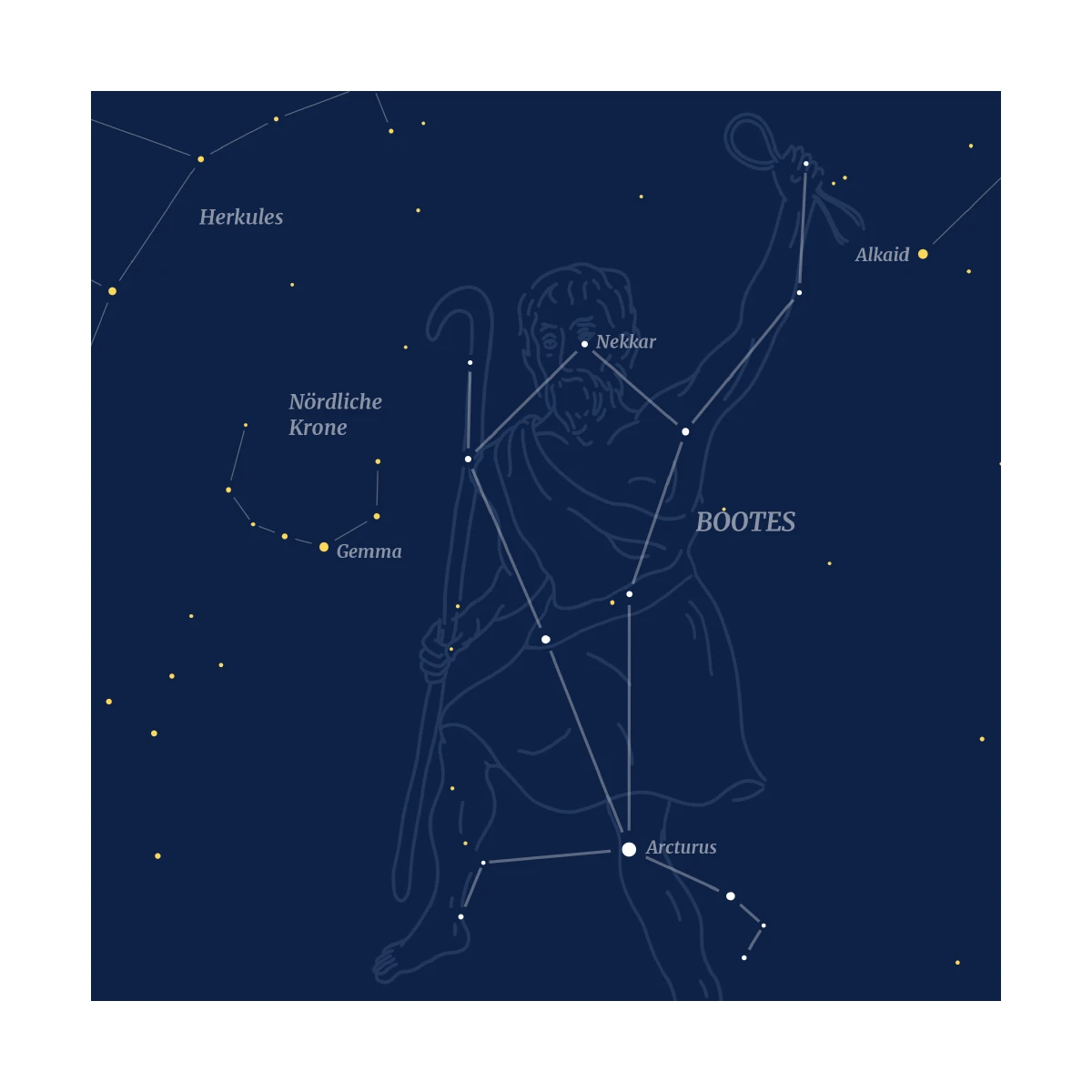 Bootes - Carte postale de la constellation