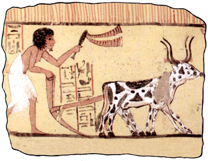 Gipsplatte Feldarbeit