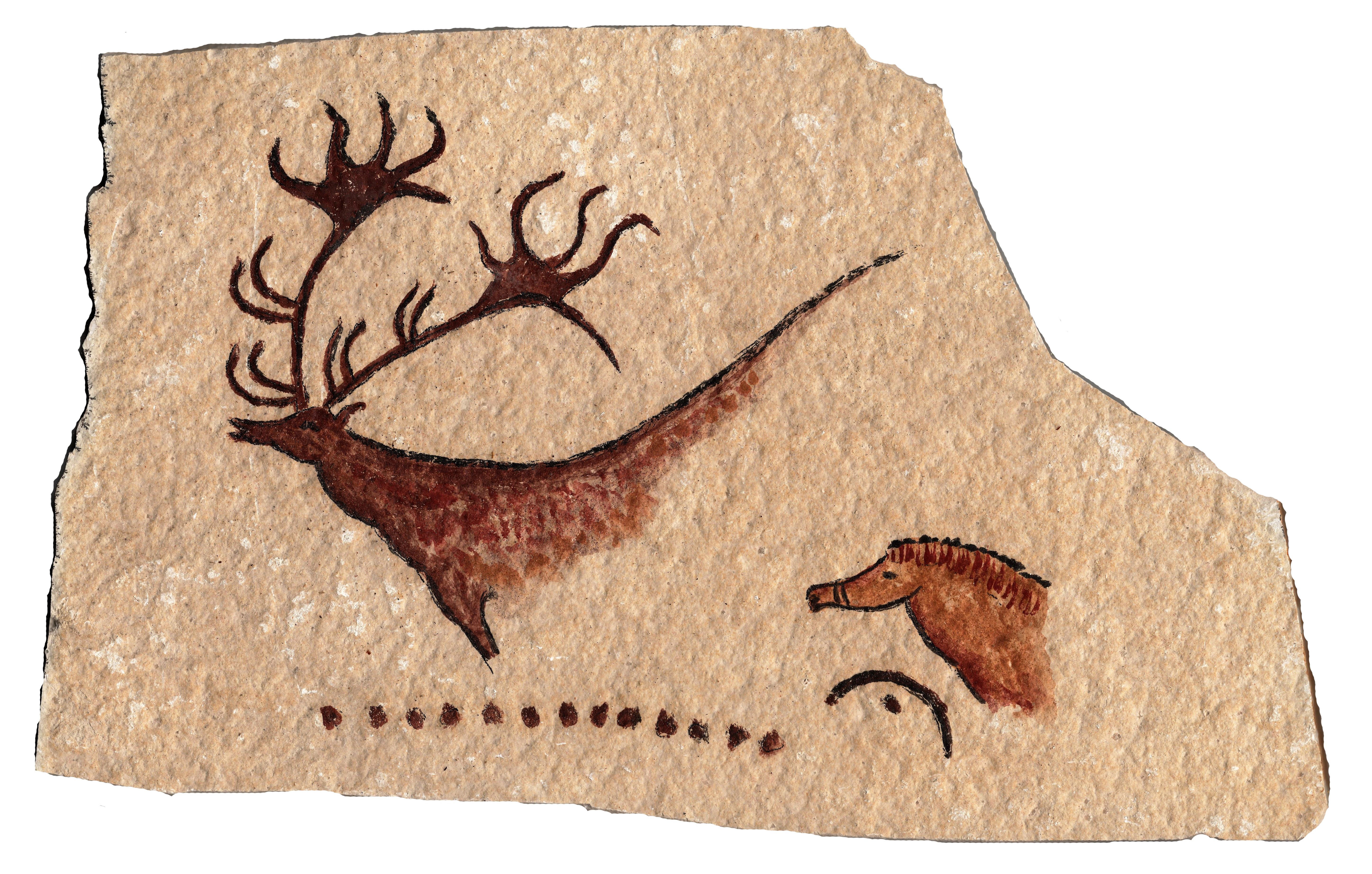 Peinture rupestre motif unique "Cerf et cheval"