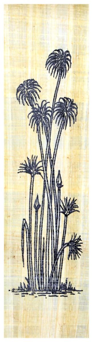 Papyrus Lesezeichen - Papyruspflanze