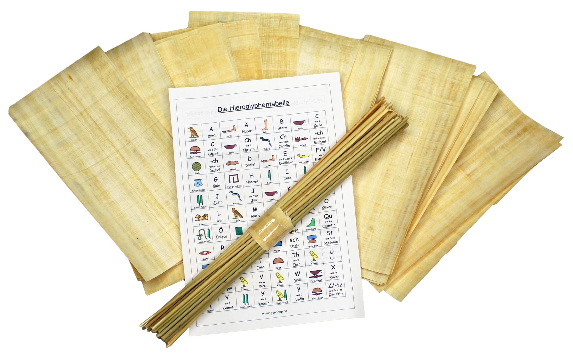 Klassensatz Papyrus und Binsen