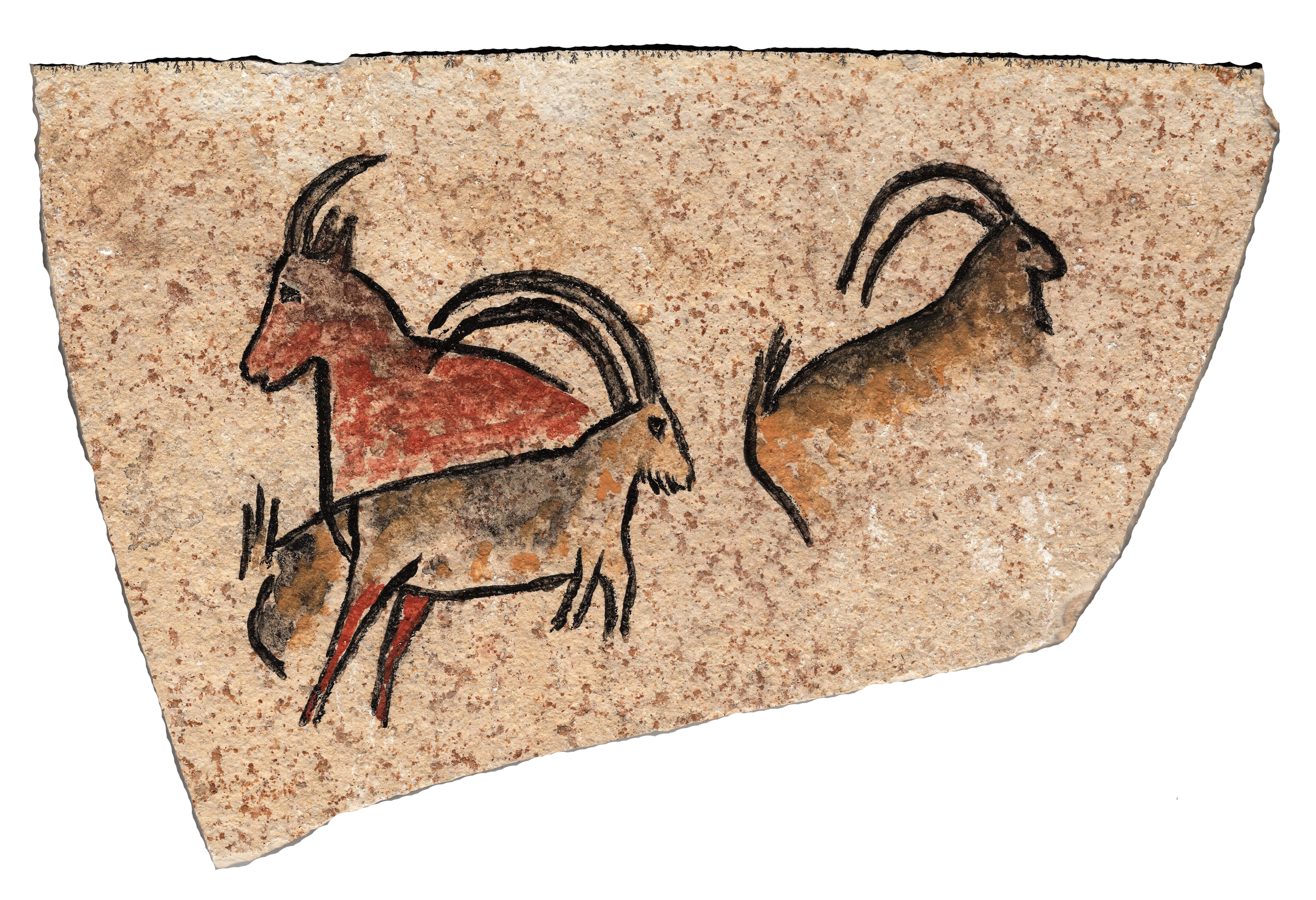 Peinture rupestre motif unique "bouquetins et chèvre"