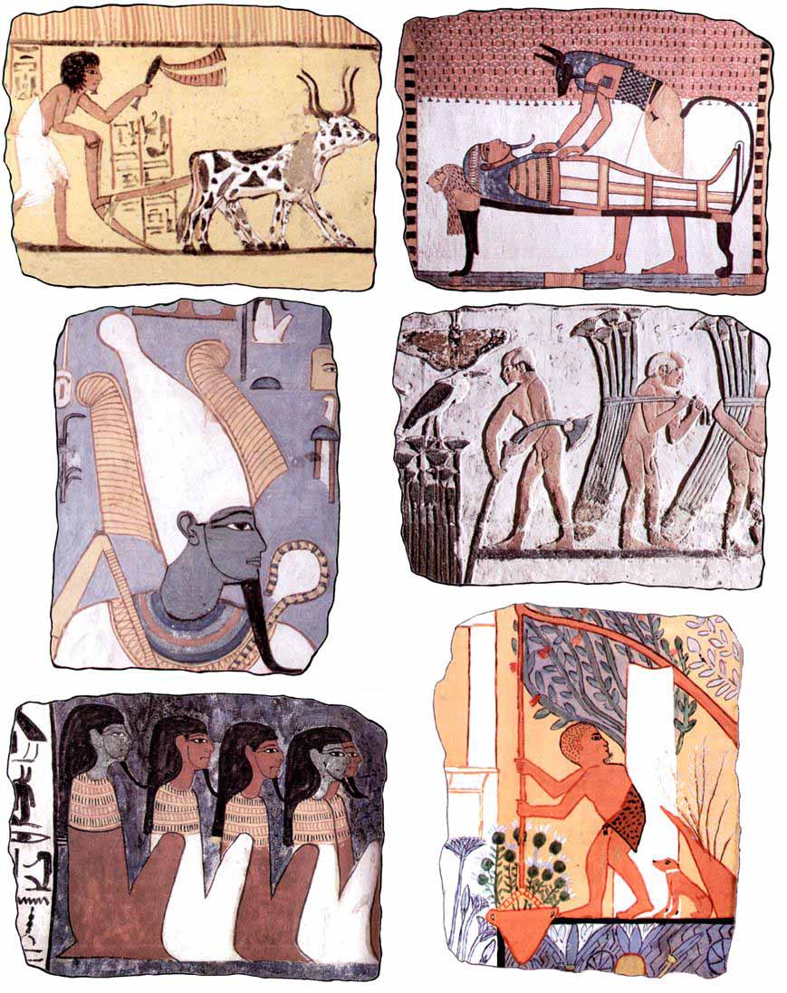 7 modèles de motifs