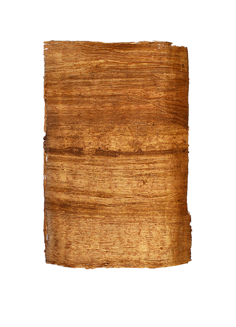 Papyrus Antique Blanc - 22 x 32 cm A4 - Bord Naturel