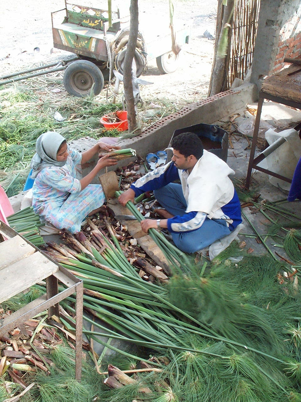 10 Bogen Blanko Papyrus Format A5