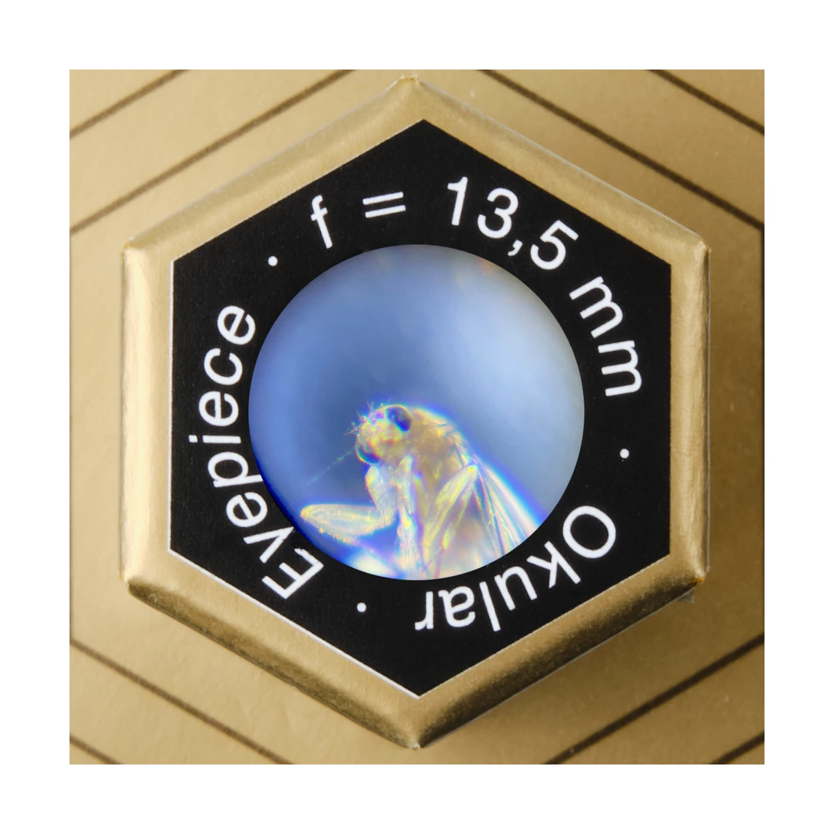 Le microscope - AstroMedia