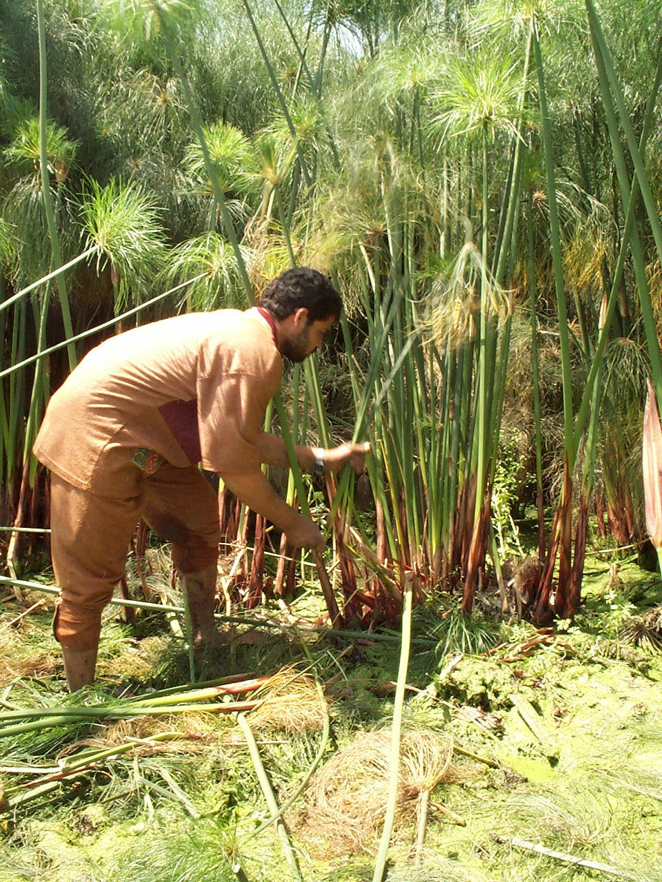 Blanko Papyrus - 62 x 82 cm – Naturrand