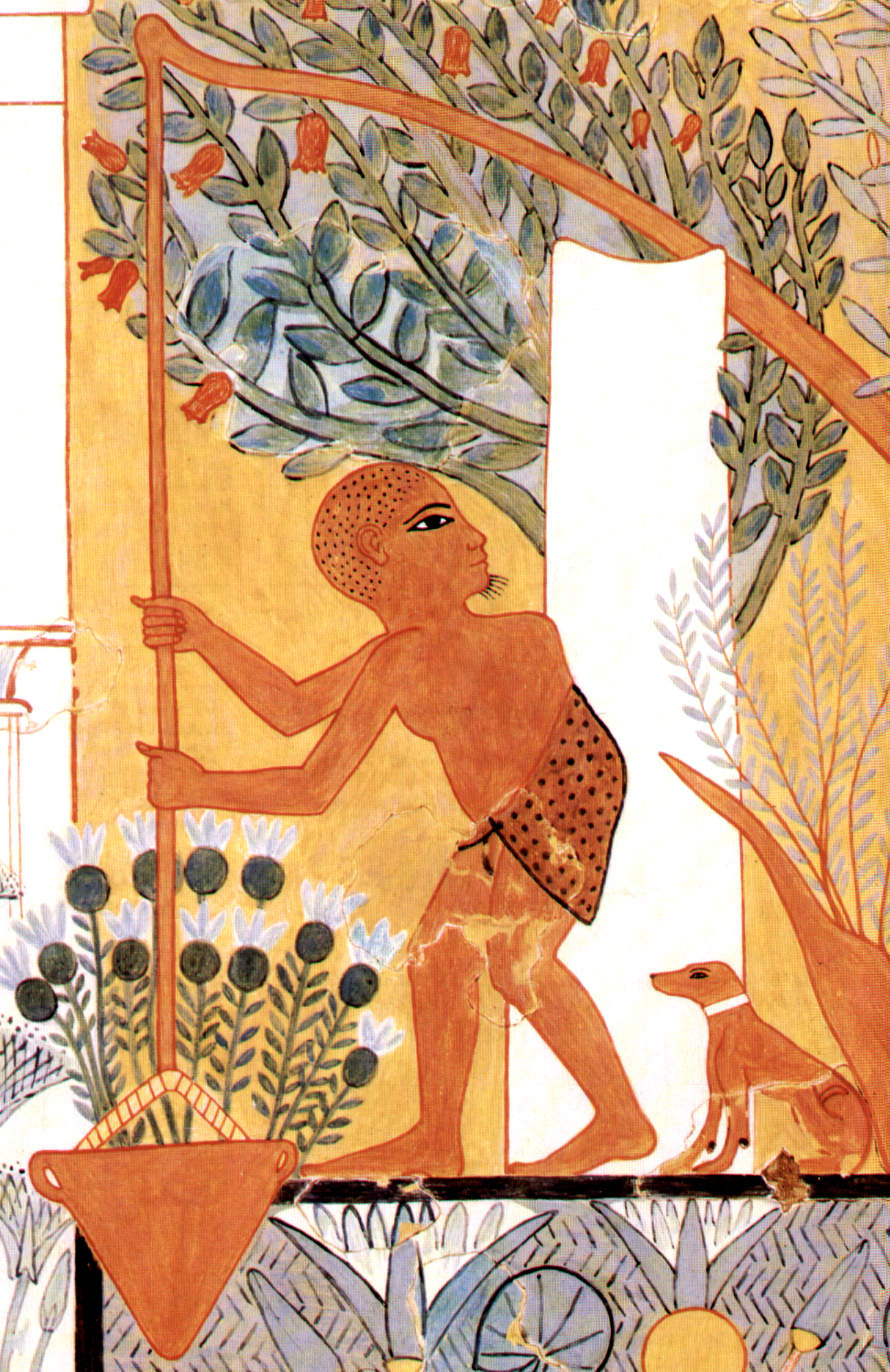 Plaques de plâtre Schaduf