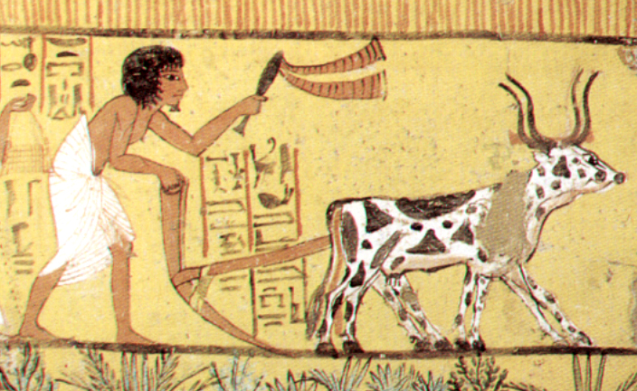 Gipsplatte Feldarbeit