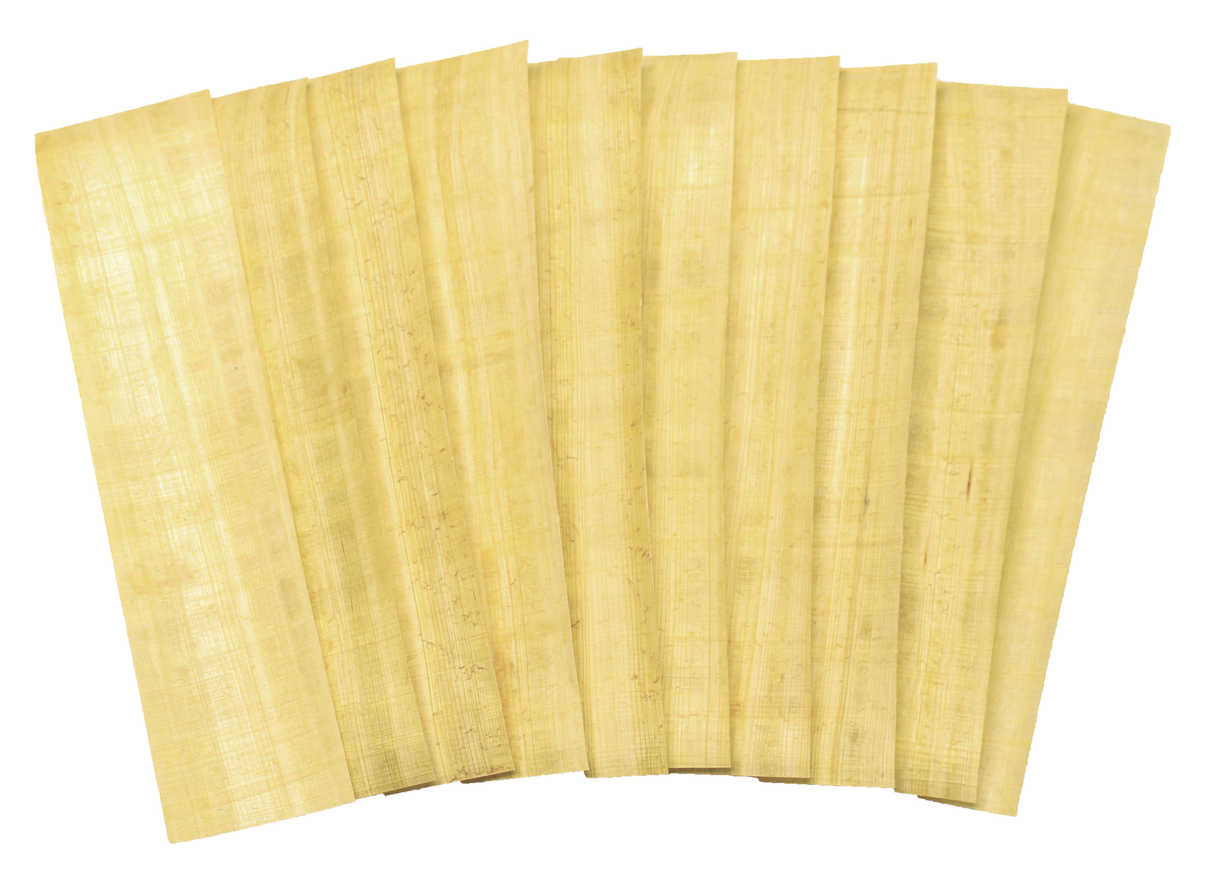 10 Papyrus Lesezeichen 5 x 19 cm & Schutzhüllen