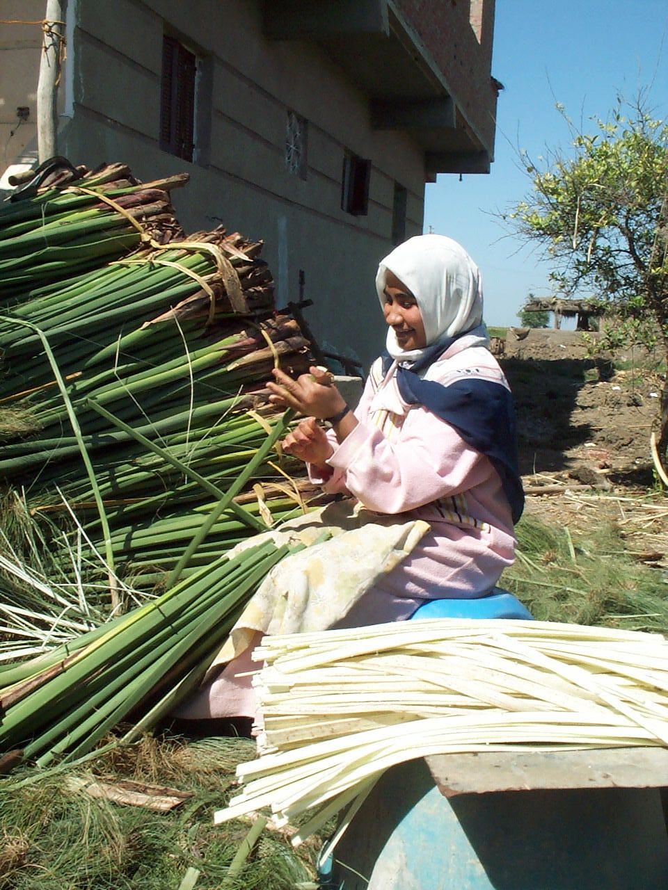 Papyrus Antique Blanc - 22 x 32 cm A4 - Bord Naturel