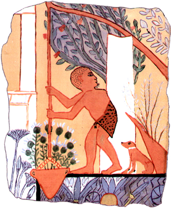 Plaques de plâtre Schaduf