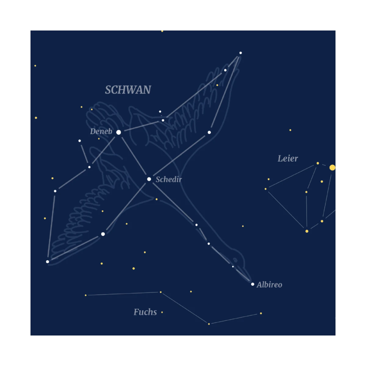 Cygne - Carte postale