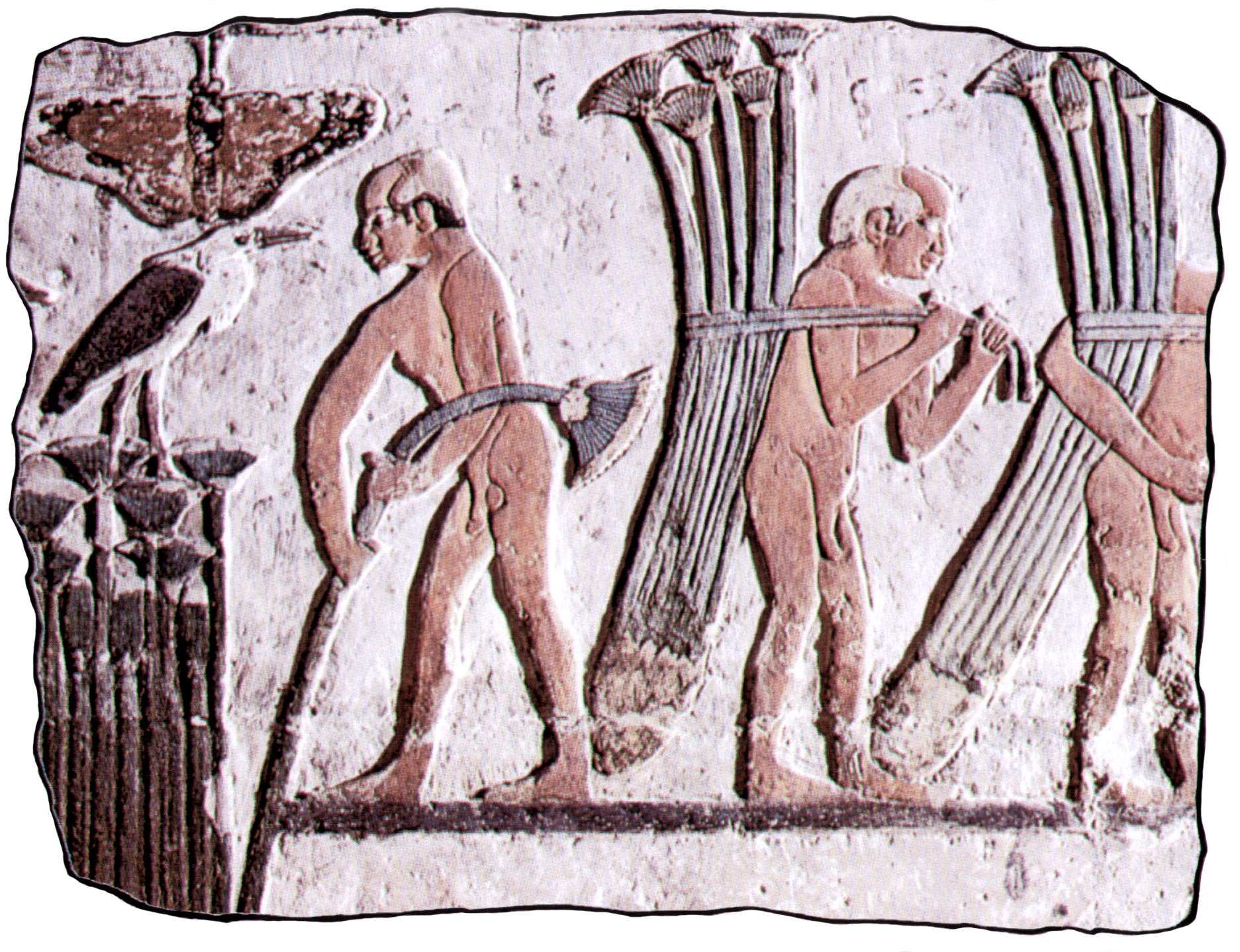 Plaque de plâtre papyrus récolte