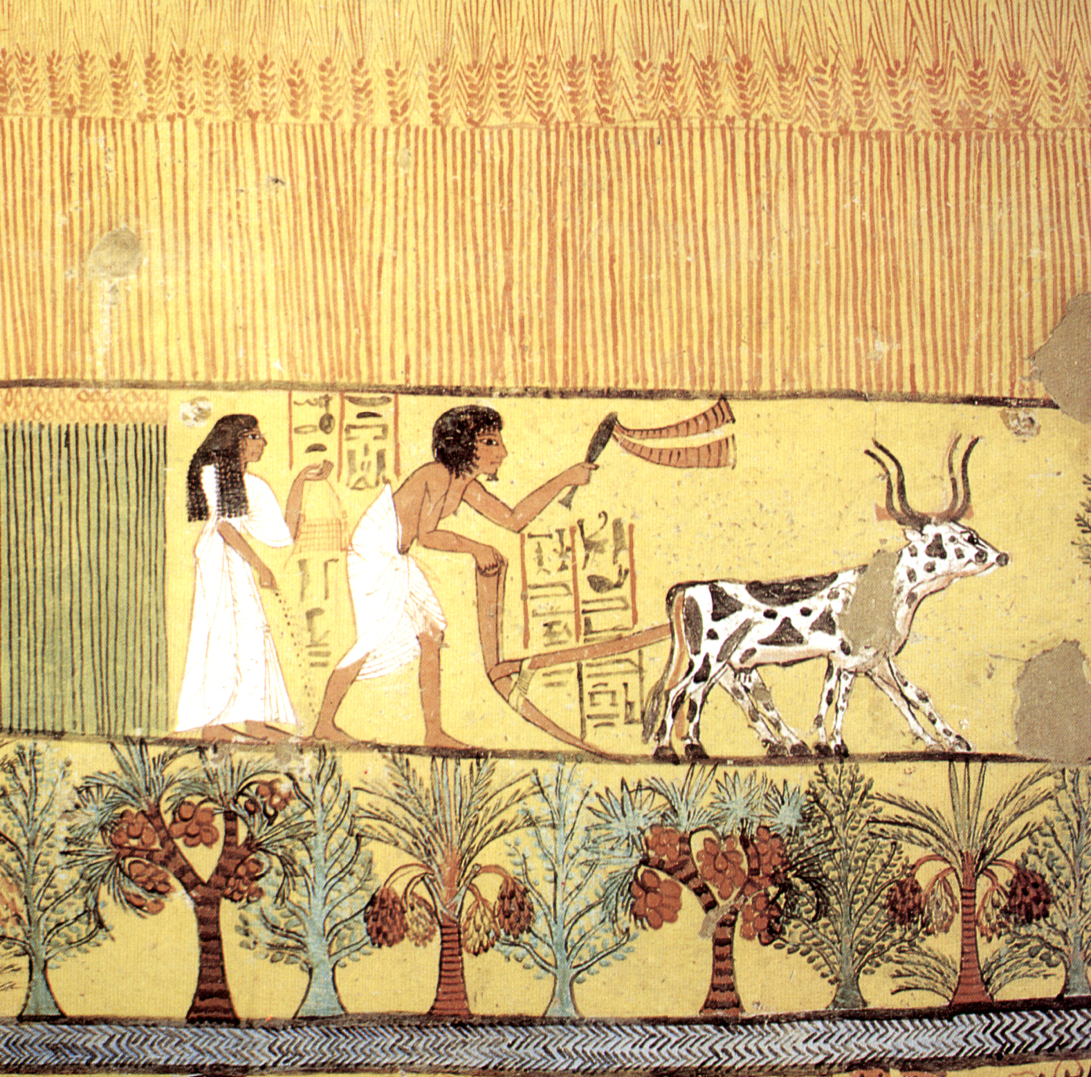 Gipsplatte Feldarbeit